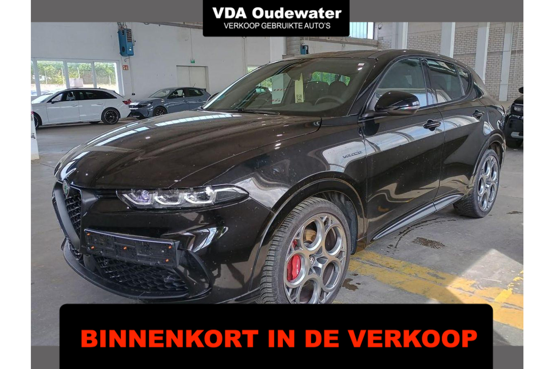 55522941-1